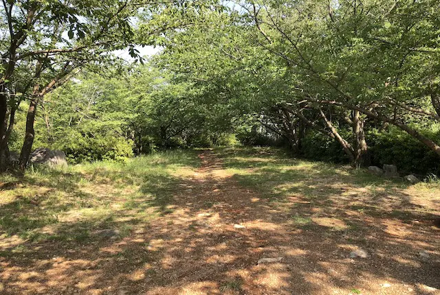 東片自然公園の展望広場