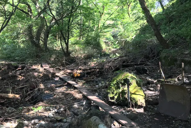 ヒゴタイ公園の森と渓谷の道