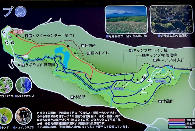 ヒゴタイ公園の案内図