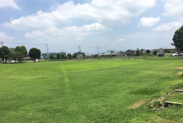 ひまわり公園の芝生広場