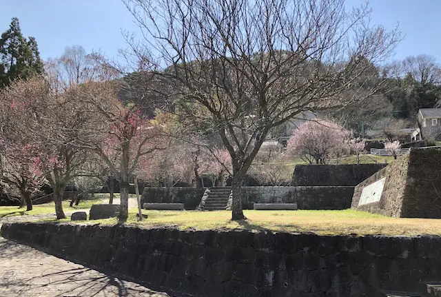 百梅園の石垣