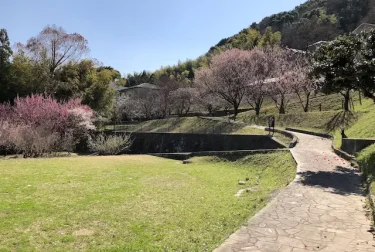 百梅園（熊本市西区）城跡のような梅の名所