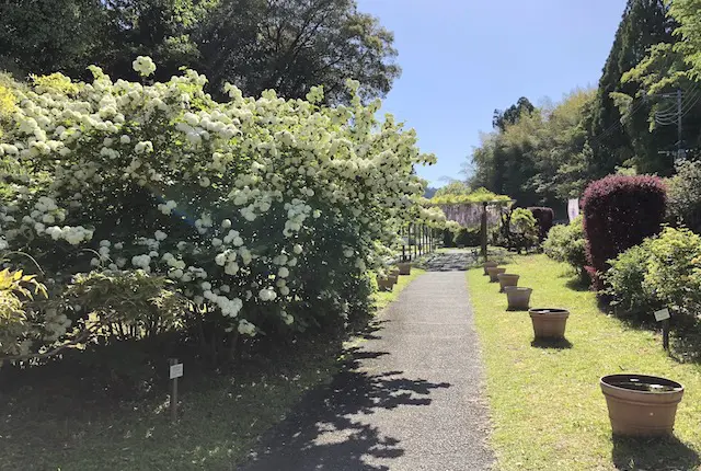 鹿央古代の森公園の入口