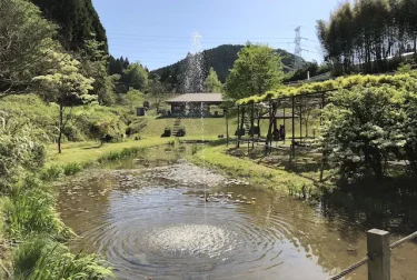 鹿央古代の森公園