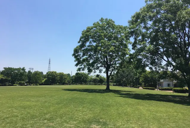 熊本県民総合運動公園の芝生広場