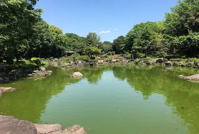 熊本県民総合運動公園の和風庭園