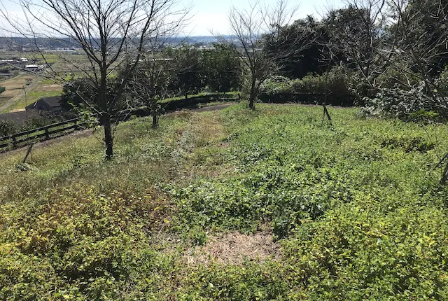 菊鹿運動広場のハーブ公園