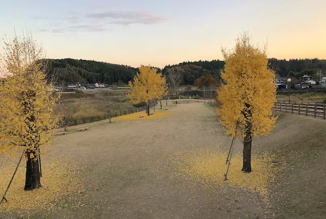 菊池ふれあい清流公園の子供広場