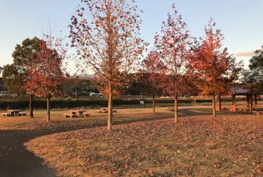 菊池ふれあい清流公園（熊本県）