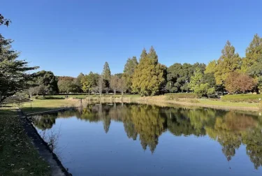 越谷総合公園（埼玉県）自然の中の運動施設