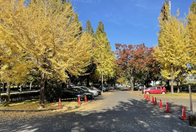 越谷総合公園の駐車場