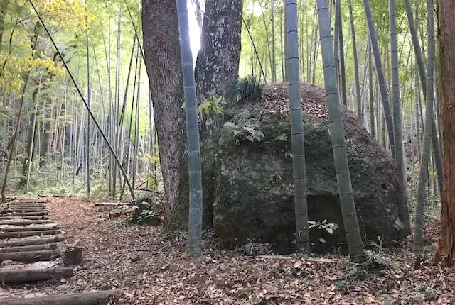 神園山の大岩