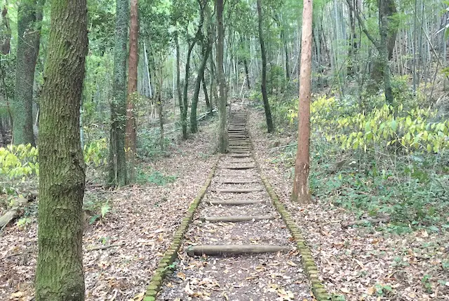 神園山の散策路