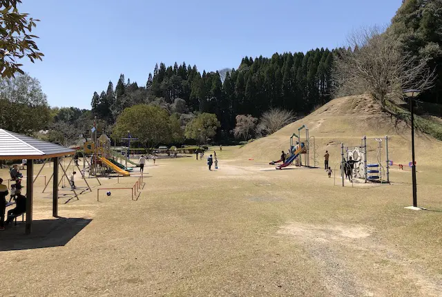 村山公園あやめ広場