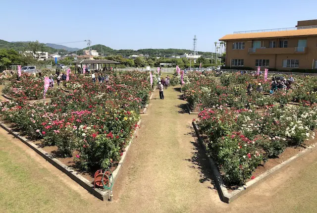 おもやい市民花壇