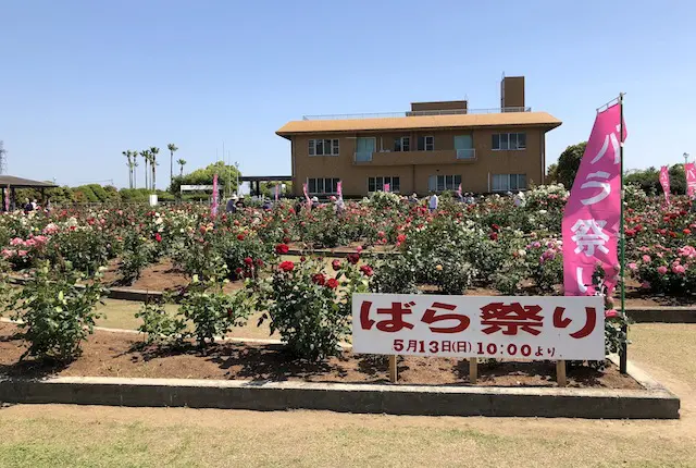 おもやい市民花壇ばら祭り