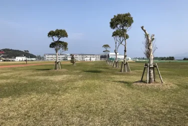 大矢崎緑地公園