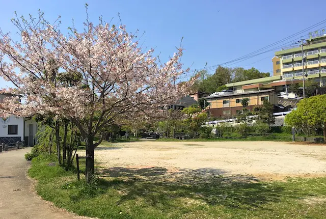 立願寺公園の広場