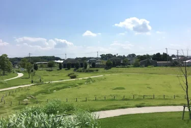 憩いの森公園（熊本県菊池市）