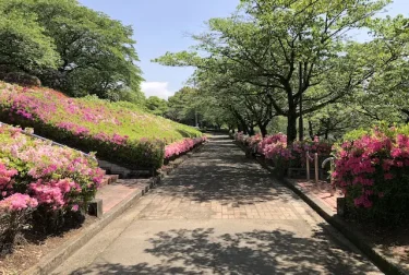 昭和園（熊本県大津町）