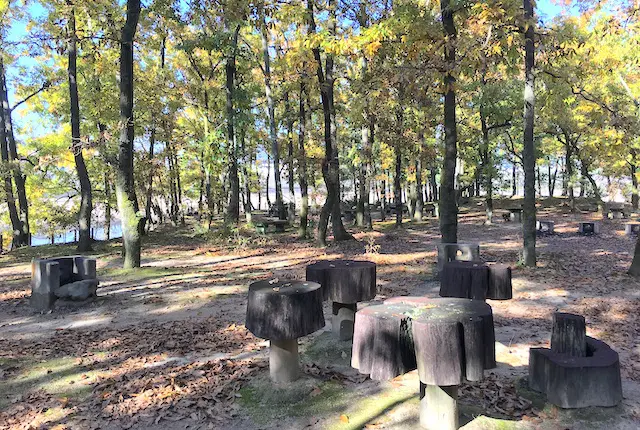 立岡自然公園キャンプ場