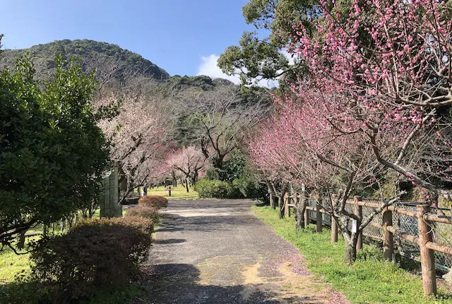 谷尾崎梅林公園の入口