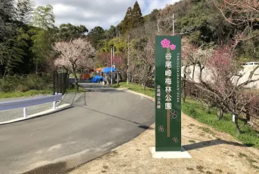 谷尾崎梅林公園