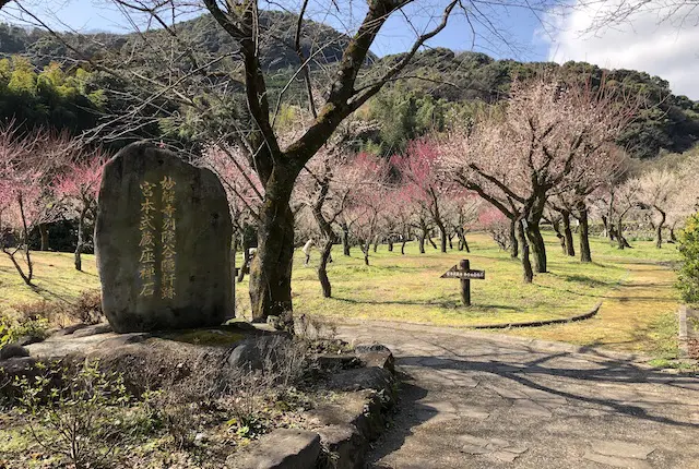 谷尾崎梅林公園