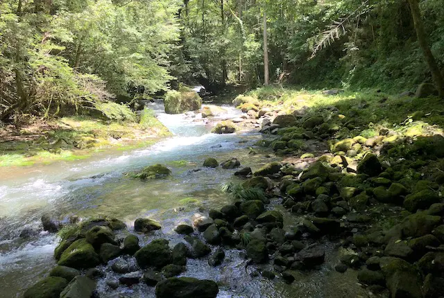 立岩渓谷の川