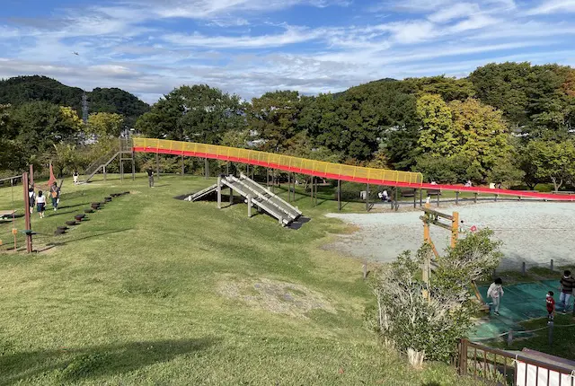 山形県総合運動公園の遊びの森