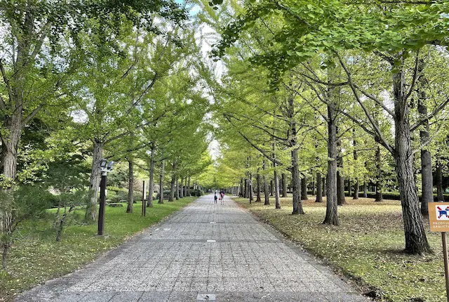 山形県総合運動公園