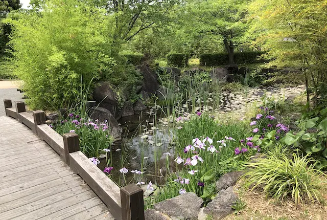 エコパーク水俣竹林園の水辺