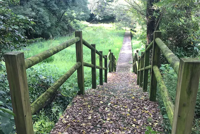 蛇ノ尾公園の散策路