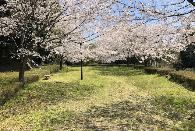 蛇ノ尾公園お花見広場