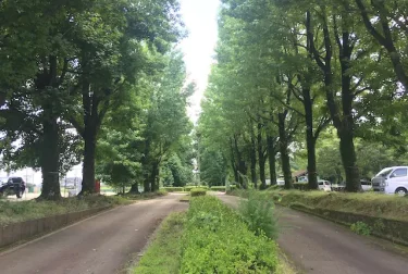 合志市中央運動公園（熊本県）