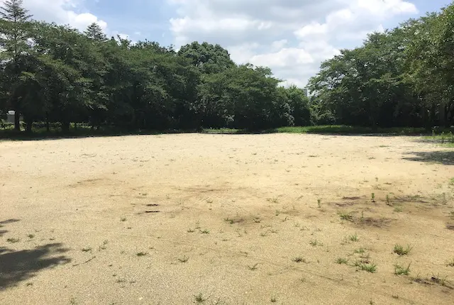 合志市中央運動公園の広場