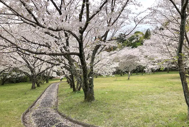 お花見広場