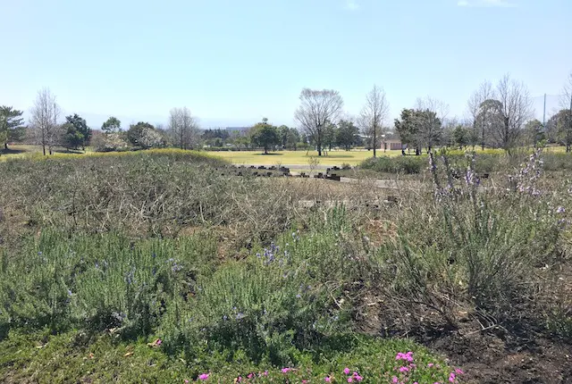 香りの森公園