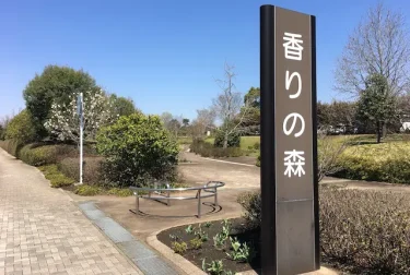 香りの森（熊本市東区）大きな芝生の公園