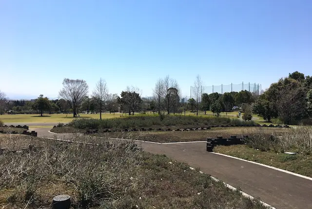 香りの森のハーブ園