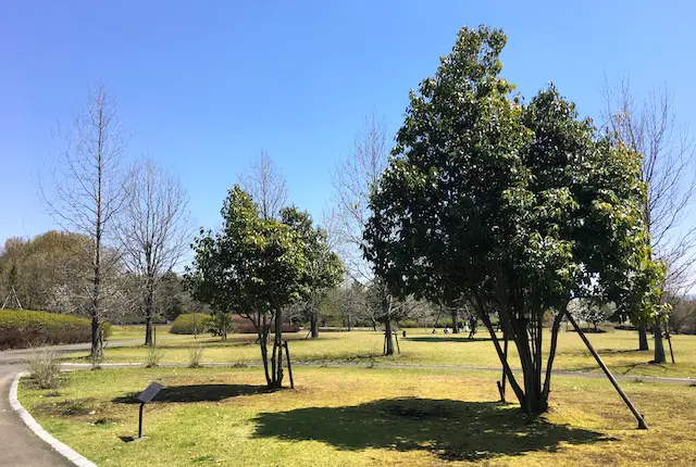 香りの森の植栽ゾーン