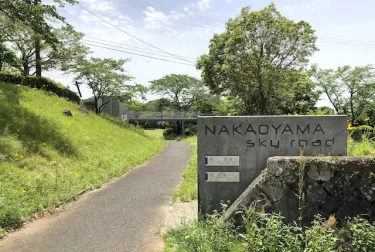 中尾山自然公園（熊本県水俣市）桜の展望公園