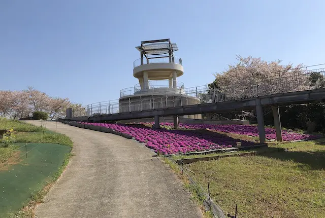 芝桜園