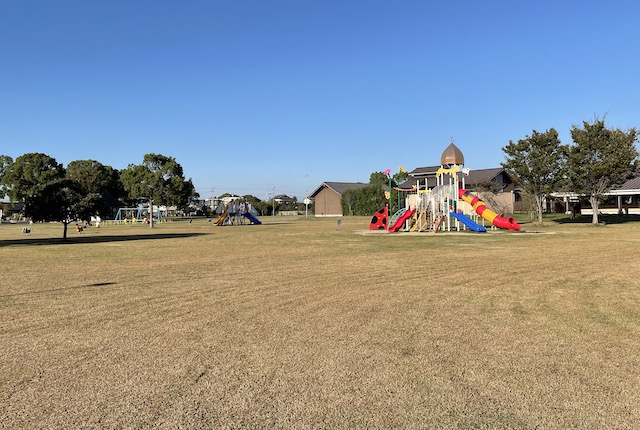 筑後広域公園芝生広場の遊具