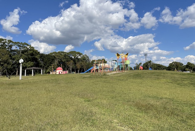 佐賀県立森林公園の学びの広場