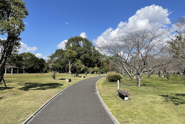 佐賀県立森林公園の花見広場