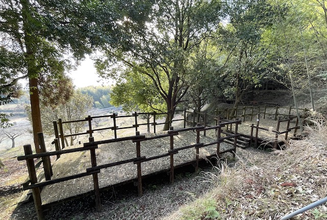 一本松公園キャンプ場