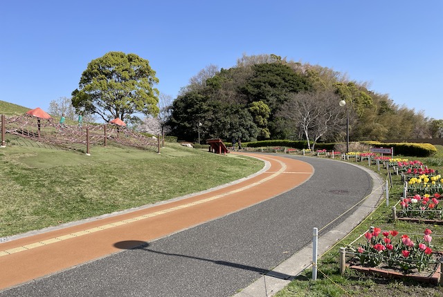 青葉公園のウォーキングコース