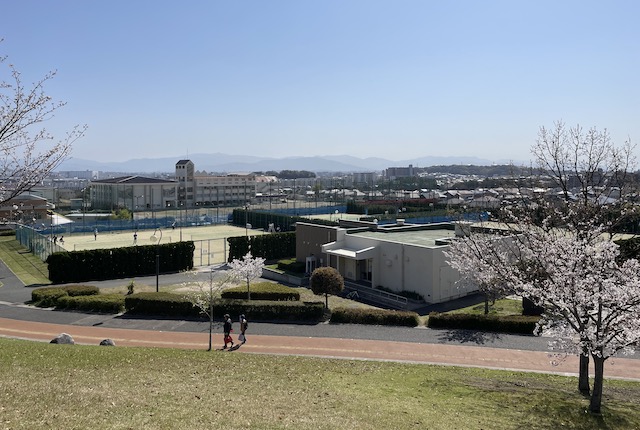 青葉公園テニスコート