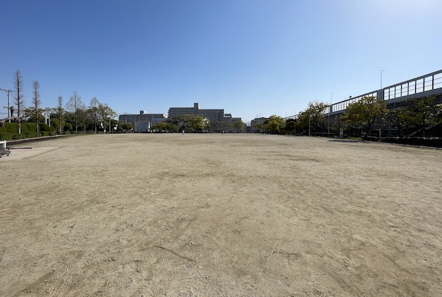 名島運動公園の自由広場